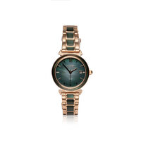 Sunglister (Grön pärlemor/Roséguld)