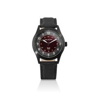 Wildlight (Lava/Svart)