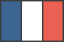 Fran&ccedil;ais